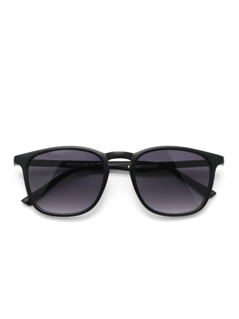 Brera Sunglasses Black