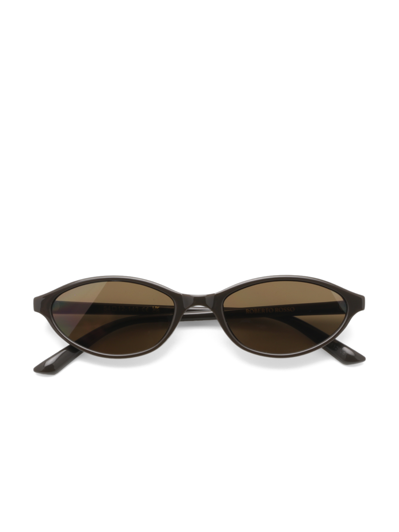 Sole sunglasses brown