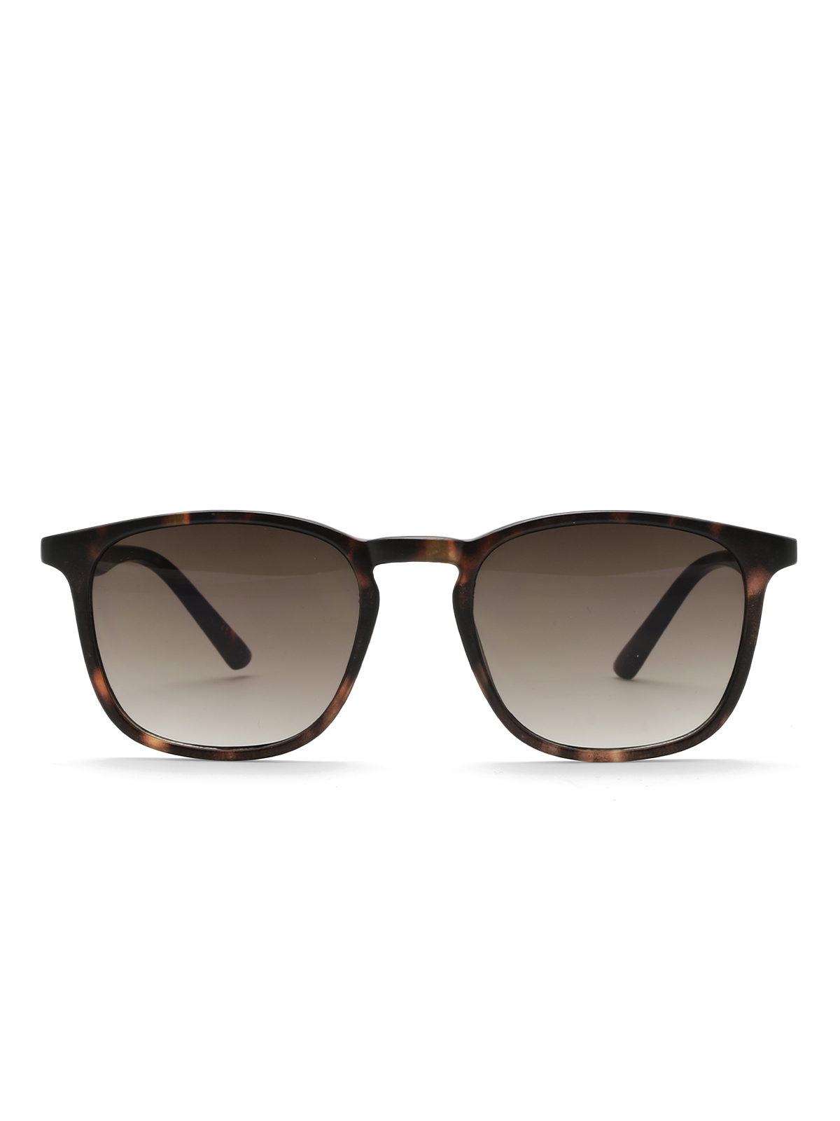 Roberto Rosso Brera - Tortoise - Bilde 5