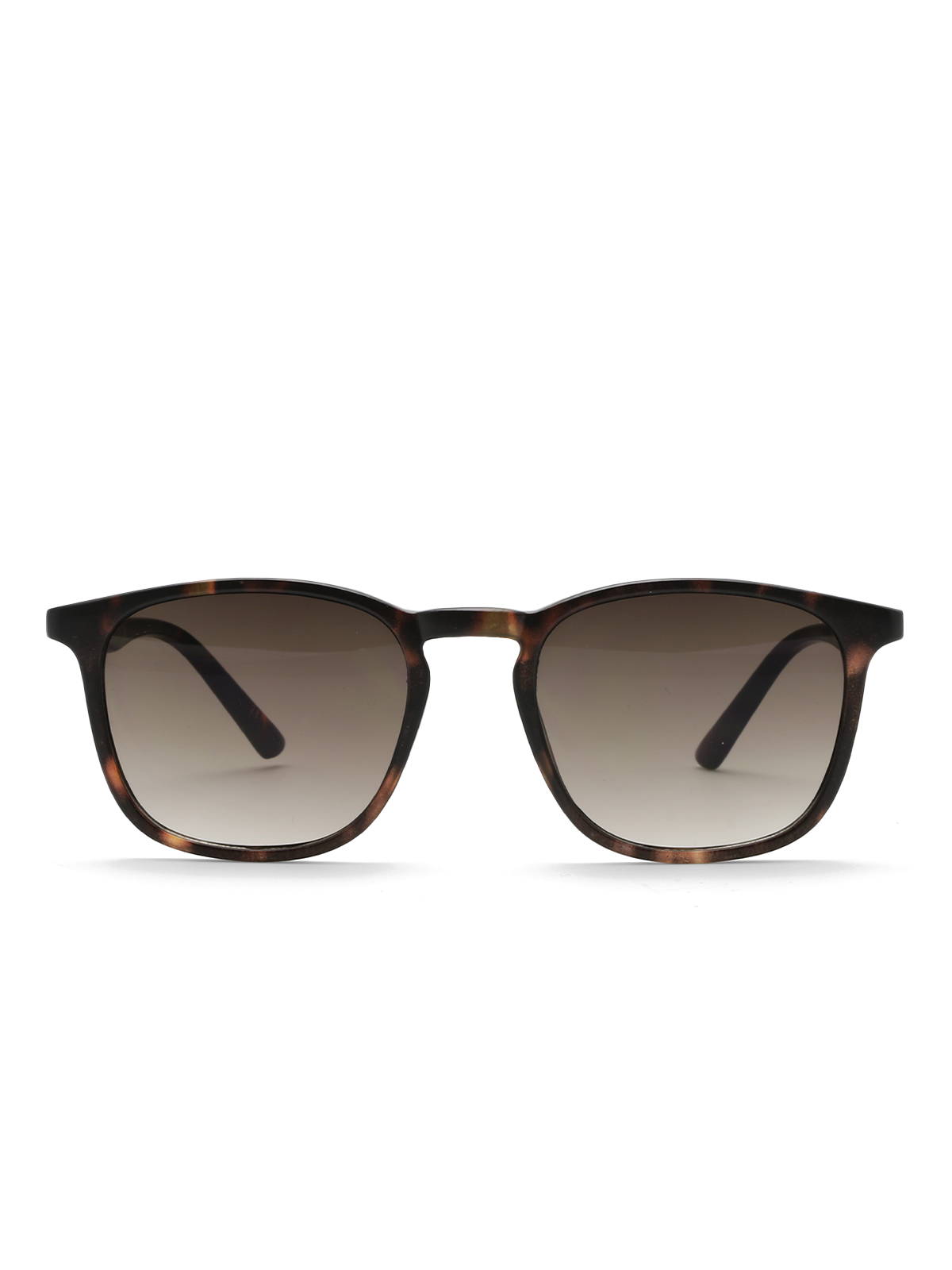 Roberto Rosso Brera - Tortoise - Bilde 8